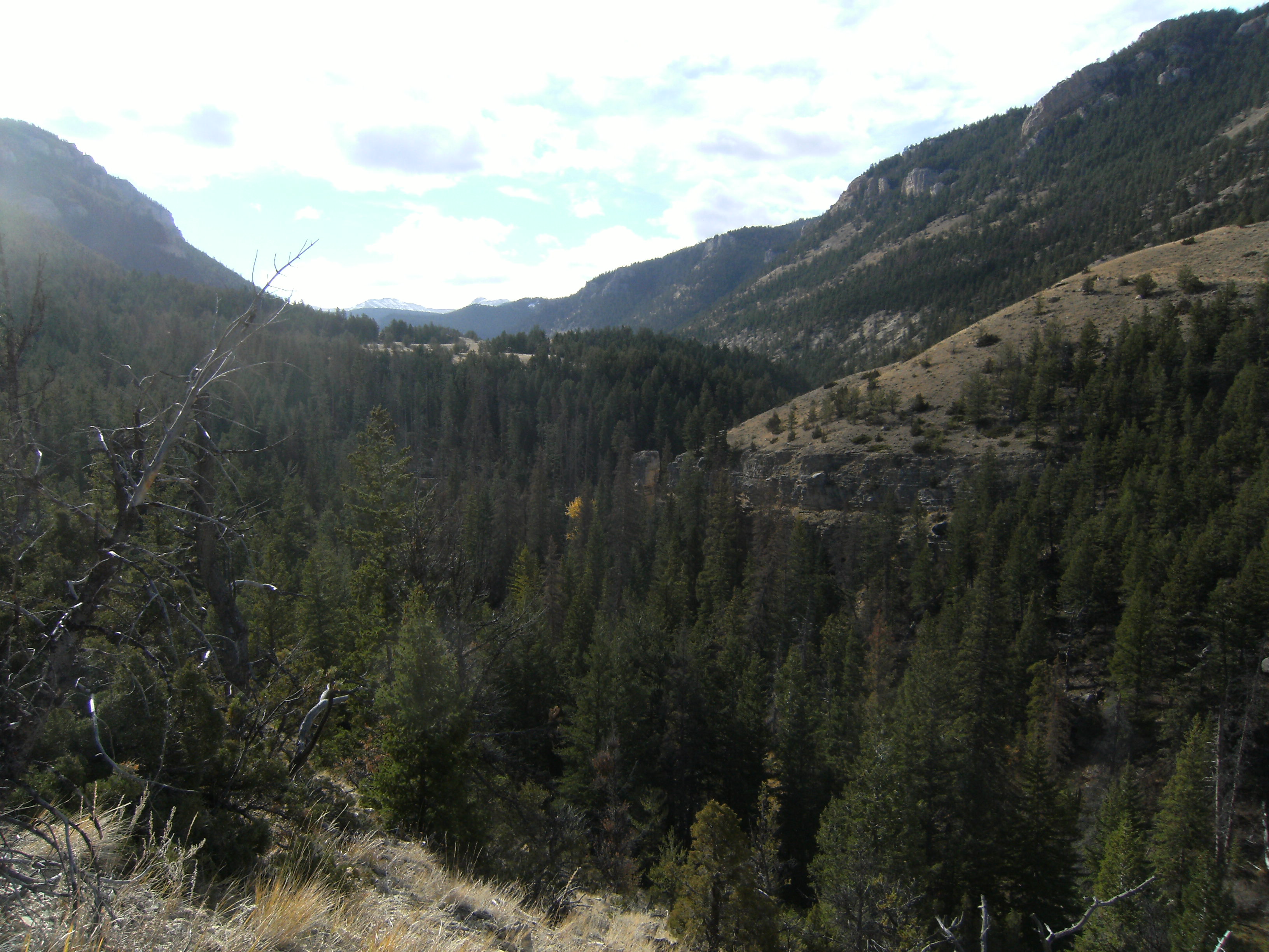 Looking into Dead Indian Valley