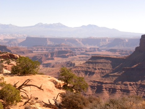 One view of Canyonlands